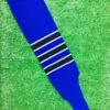 Baseball Stirrups 6" Royal Blue With Black Stripes Trimmed With White 2 Baseball Stirrups 6" Royal Blue With Black Stripes Trimmed With White -Baseball Equipment Store FullSizeRender 313