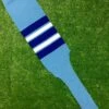 Baseball Stirrups 8" Columbia Blue With Royal Blue White And Royal Blue Stripes -Baseball Equipment Store FullSizeRender 47