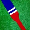 Baseball Stirrups 8" Royal Blue With Two White Stripes Red Bottom 2 Baseball Stirrups 8" Royal Blue With Two White Stripes Red Bottom -Baseball Equipment Store FullSizeRender 58